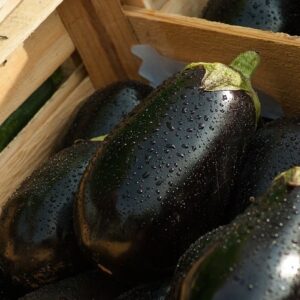 organic eggplants